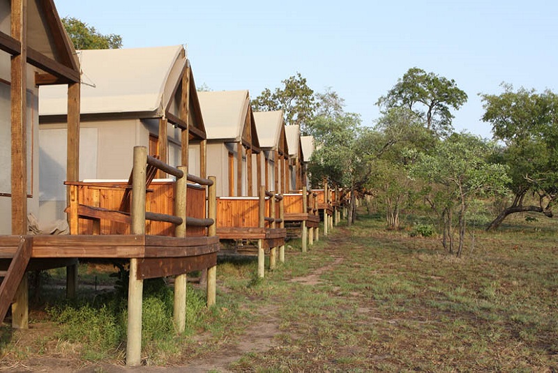 the safari camp